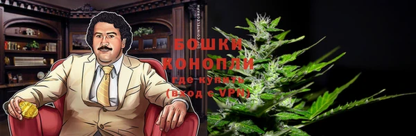 PSILOCYBIN Горнозаводск